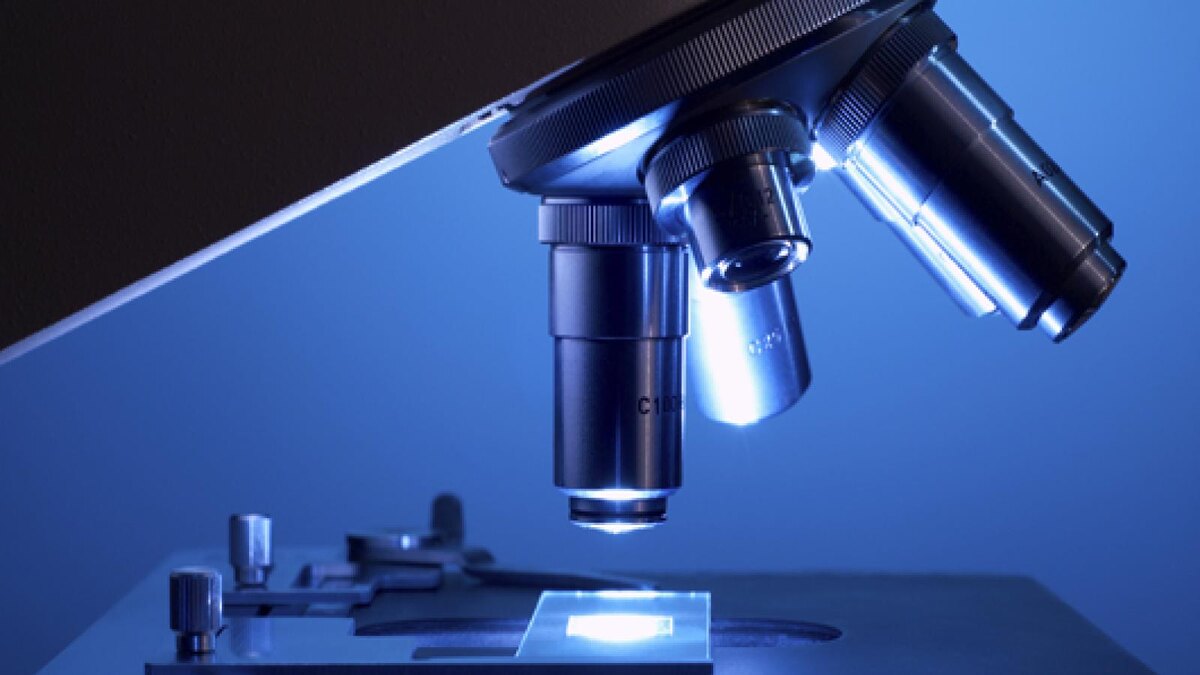 Микрросскоп. https://ya.ru/images/search?img_url=https%3A%2F%2Faustincoppock.com%2Fwp-content%2Fuploads%2F2015%2F08%2Fmicroscope.jpg&lr=213&p=1&pos=26&rpt=simage&source=serp&stype=image&text=микроскоп%20фото