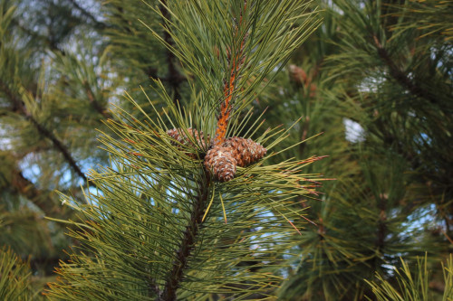    Фото: правительство РО. Газета "Земля"