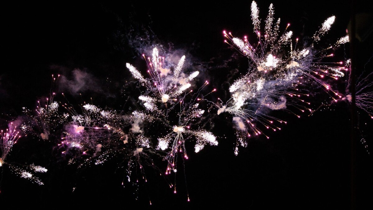    Фото: Юлия Чудинова/«Ямал-Медиа»