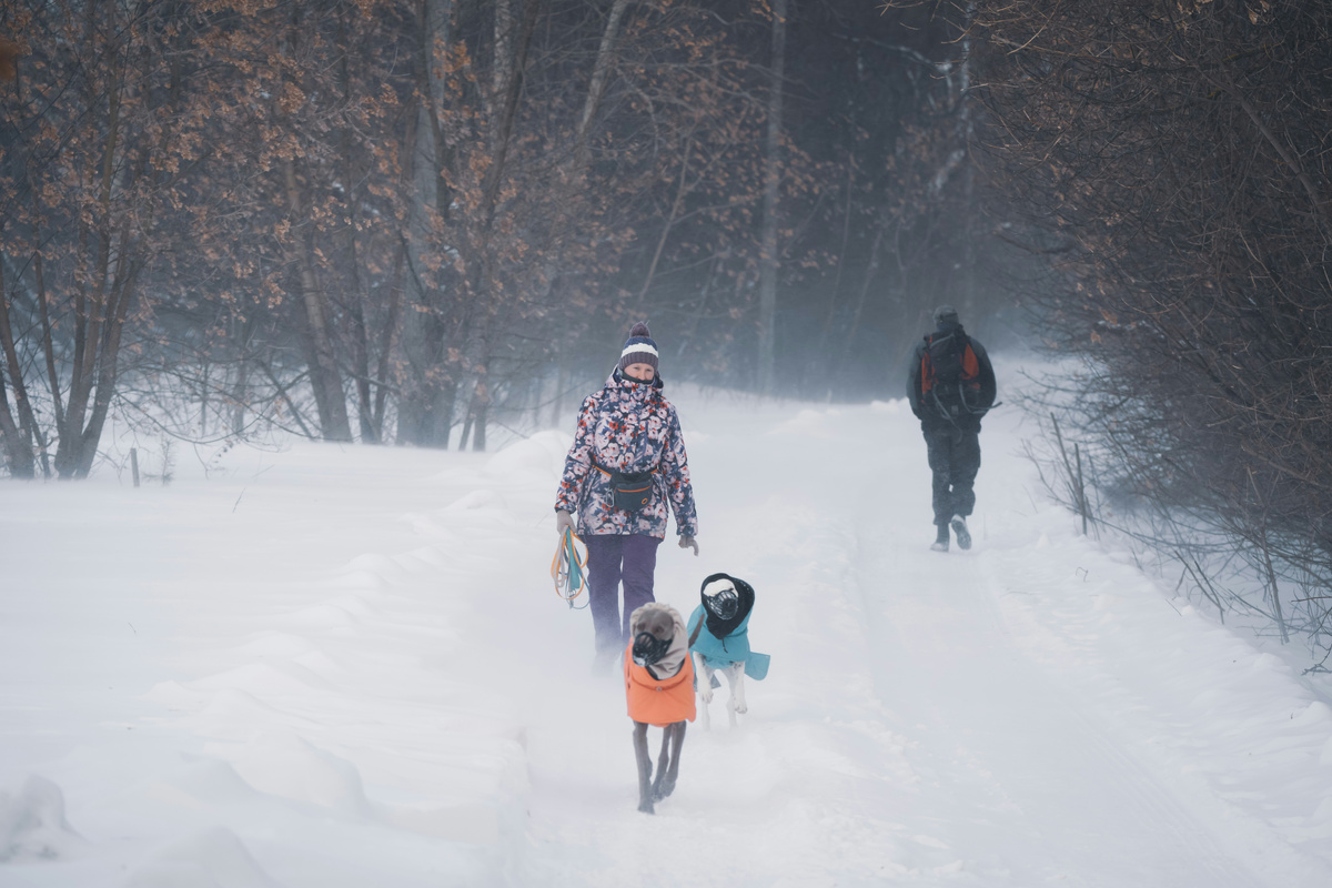     Andrey Strizhkov/Unsplash