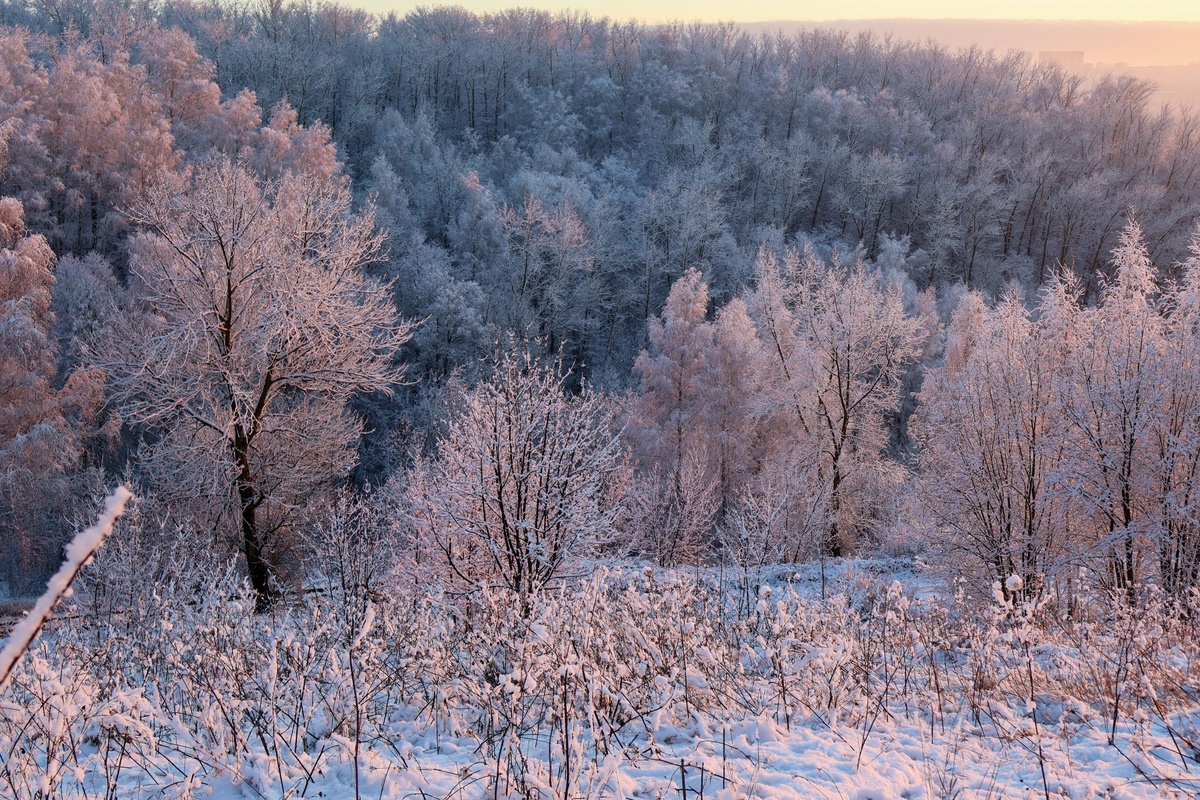Синоптик рассказал о погодной конкуренции у берегов Приморья.  Фото: Фото: ФедералПресс / Вера Романескул