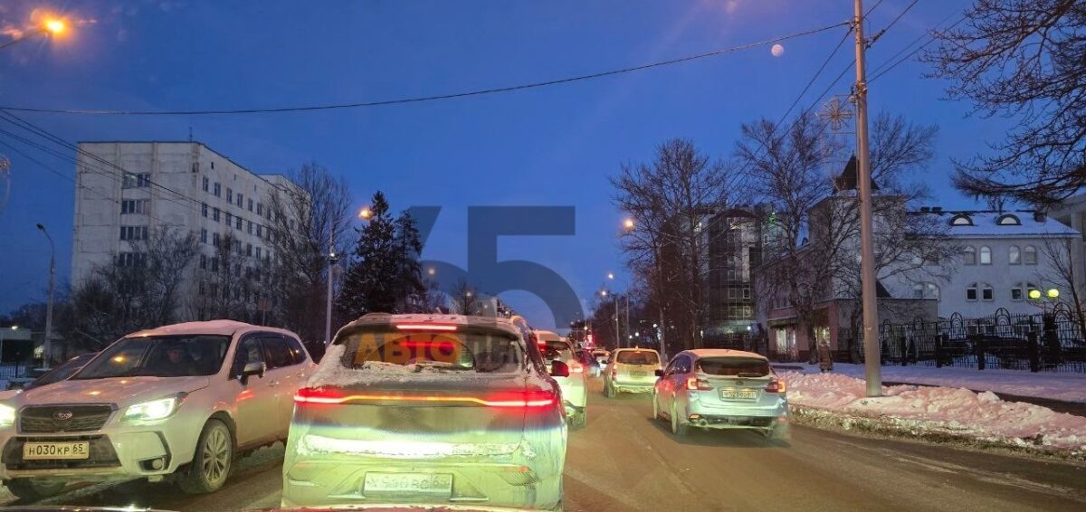    Фото: Telegram-канал «Автолента» Наталья Краснова