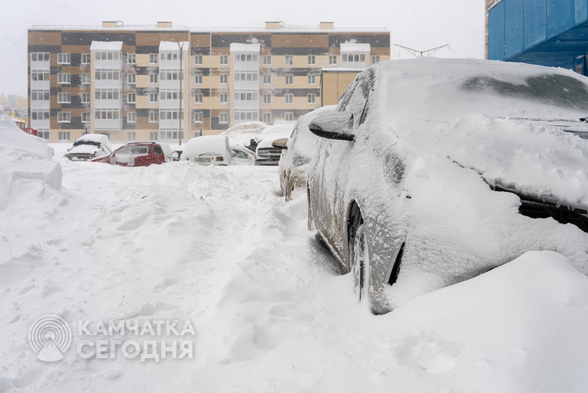 Фото Артем Безотечество / ИА «Камчатка»