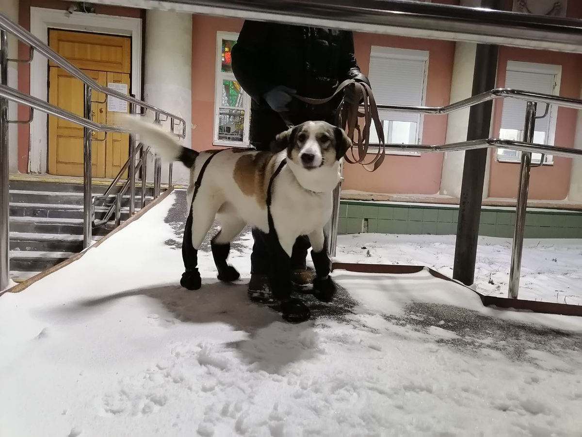 Фото автора