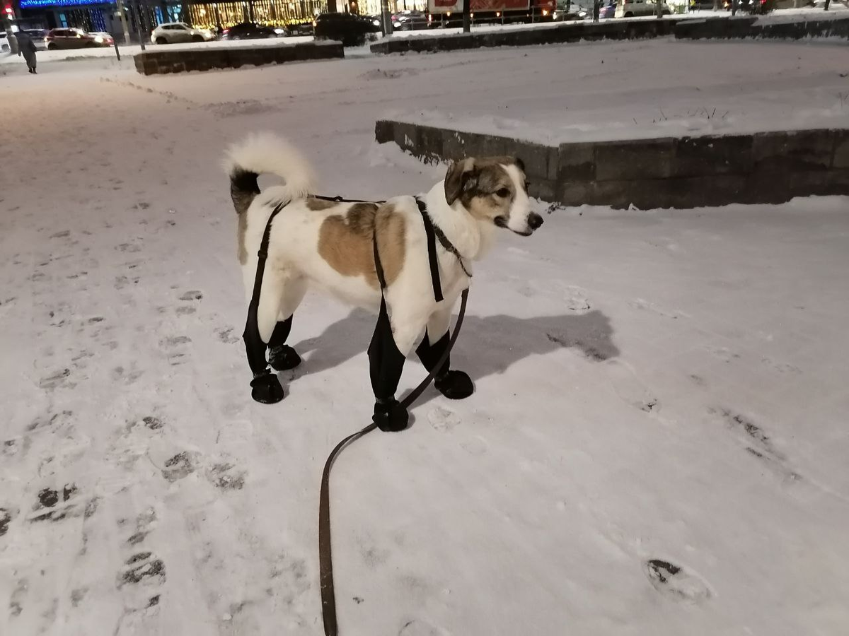 Фото автора