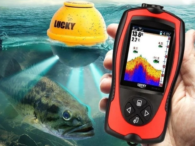 Фотосток Pexels.