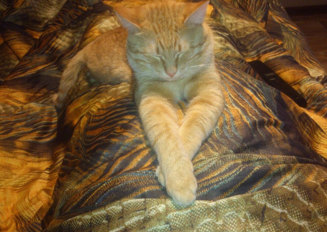 Фото автора