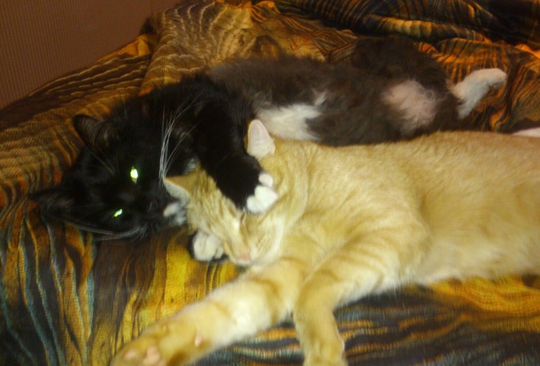 Фото автора