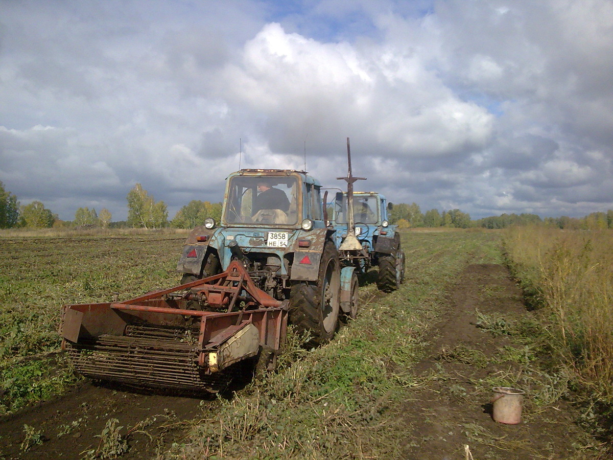 Фото для иллюстрации.