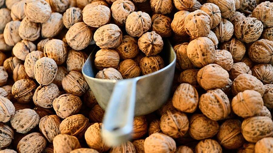    Фото: Global Look Press/Sebastian Gollnow