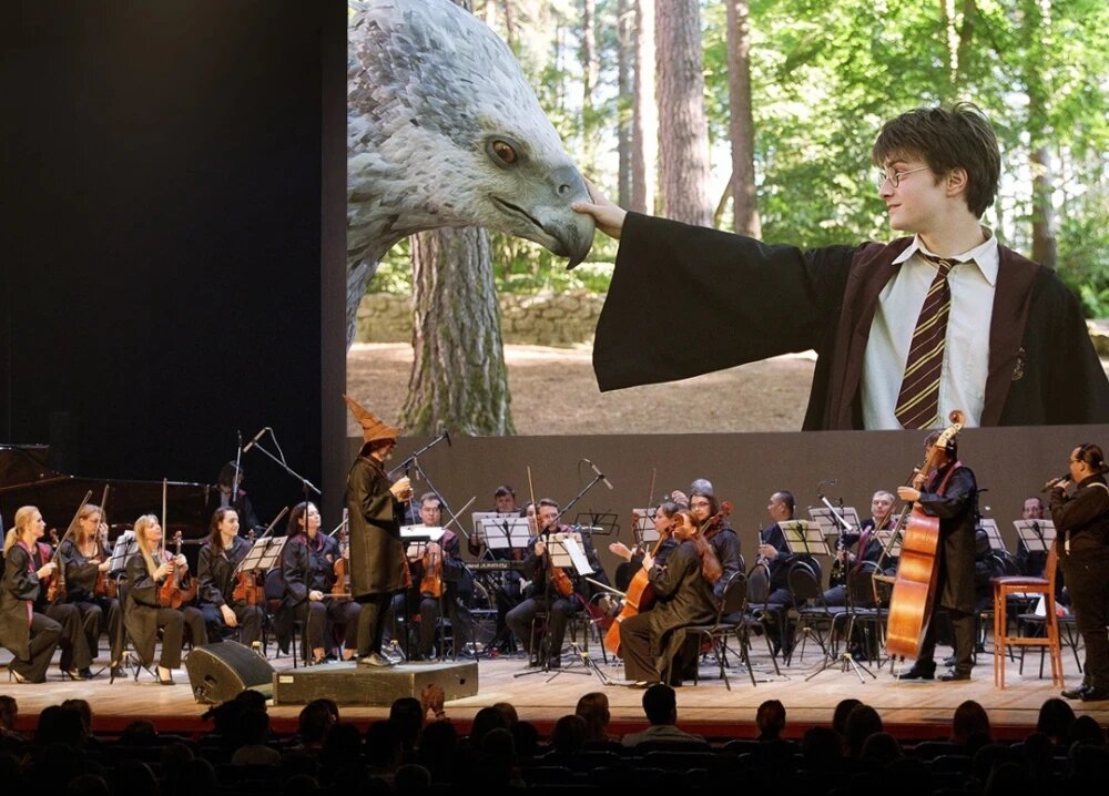    Симфония "Гарри Поттер", © из группы ЦК ТГУ во ВКонтакте