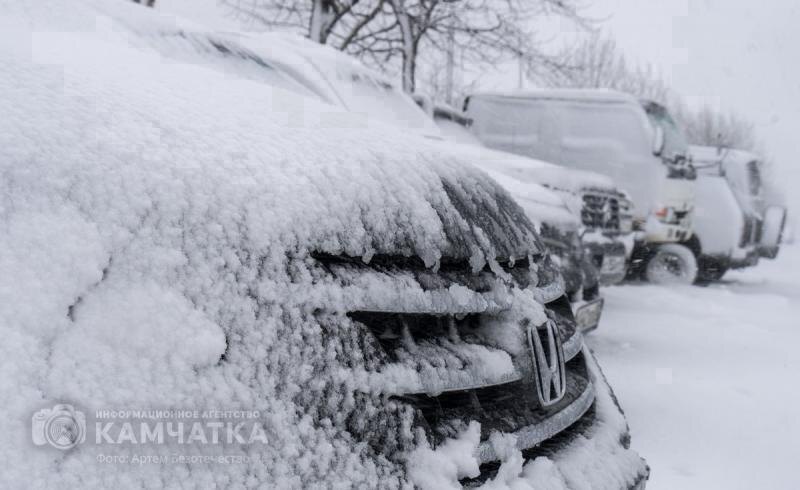 Фото Артема Безотечество / ИА «Камчатка»