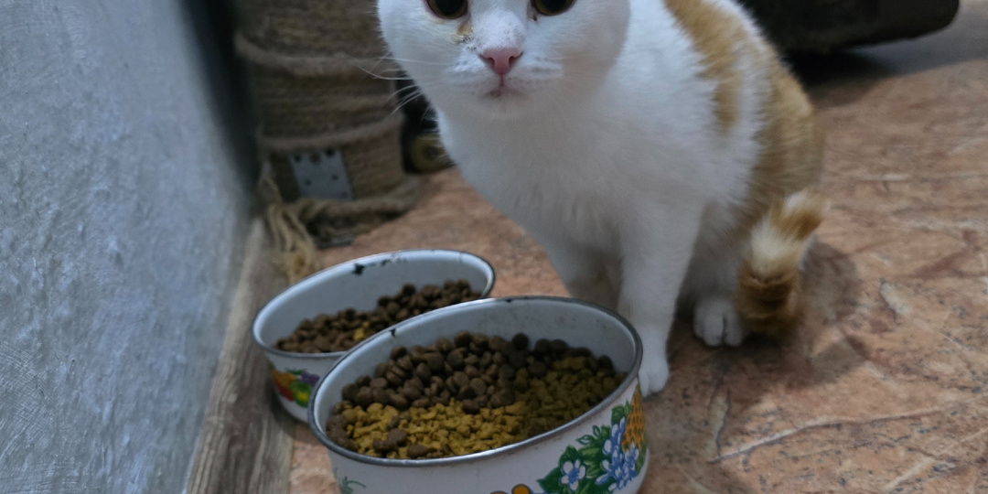 После морозов они расслабились, но это