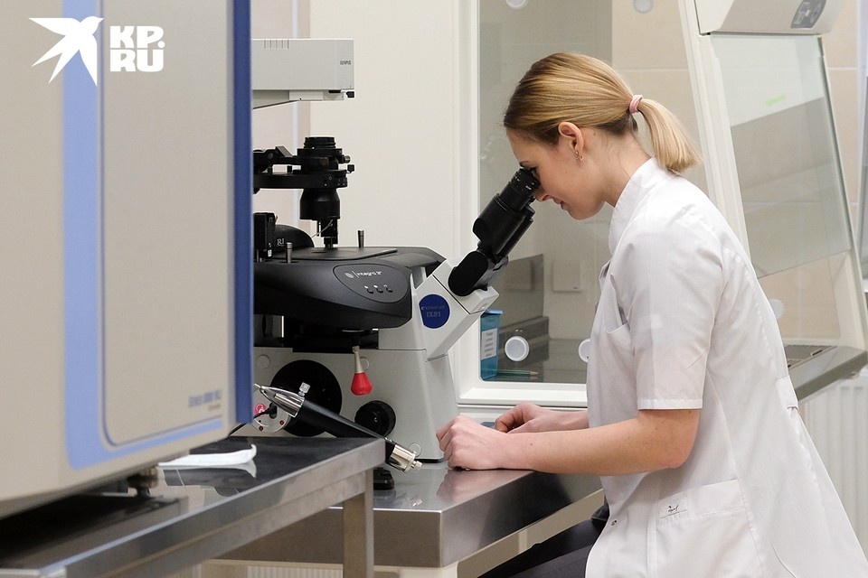    Успехи на животных, клеточных культурах человека еще не говорят о появлении эффективного лекарства Артем КИЛЬКИН