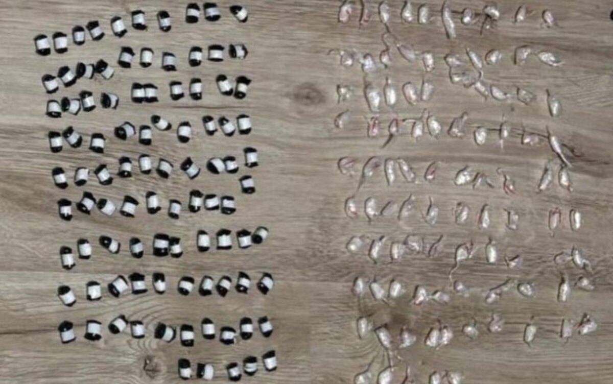    Двух наркокурьеров задержали в лесополосе в Ижевске