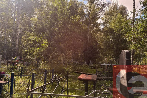    Фото: Прецедент