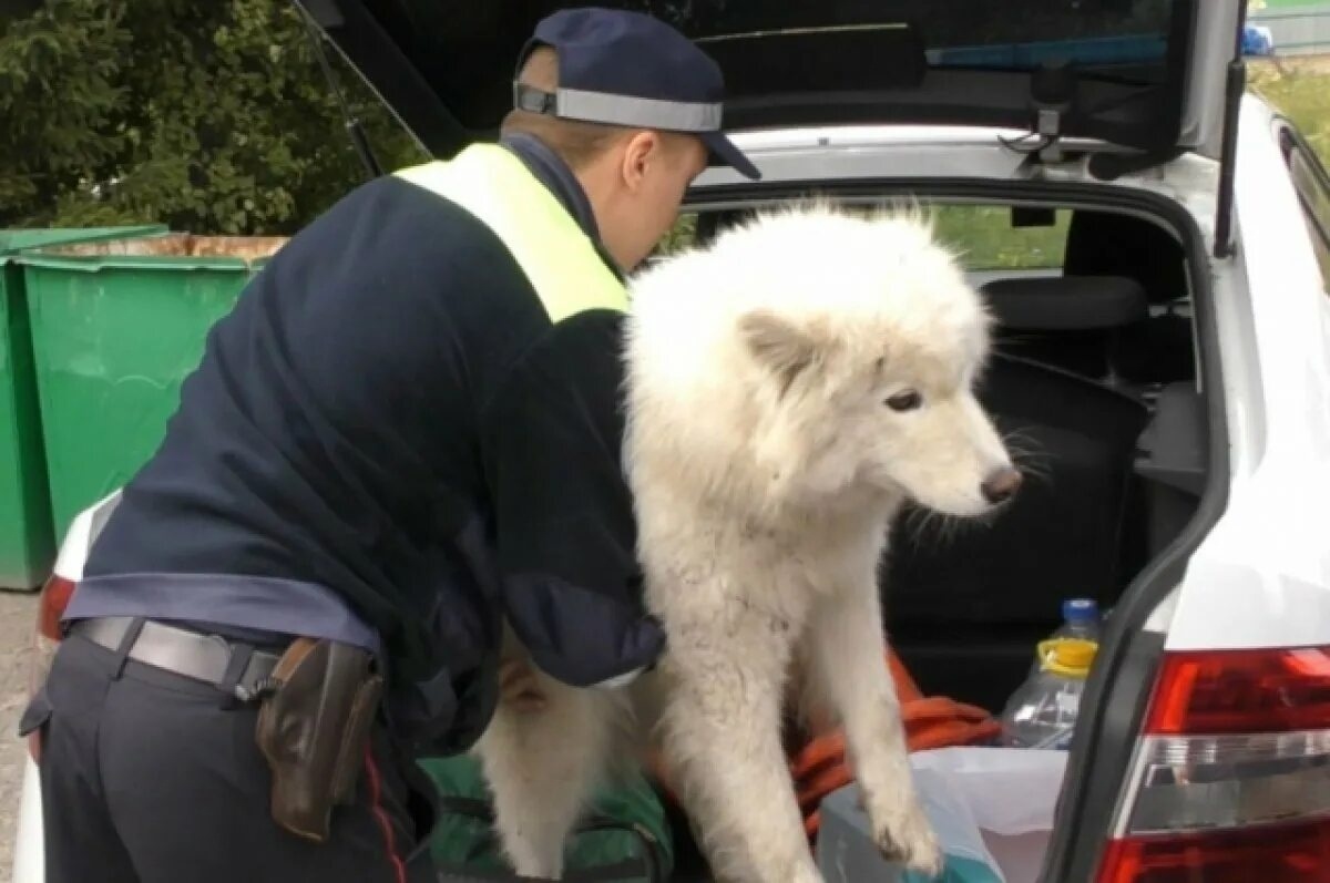 Фото из открытых источников 