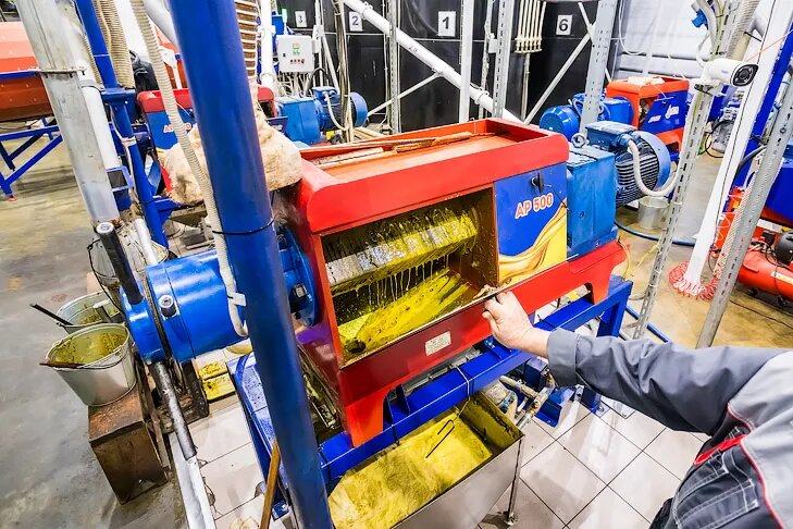 © Фото VN.ru.📷
