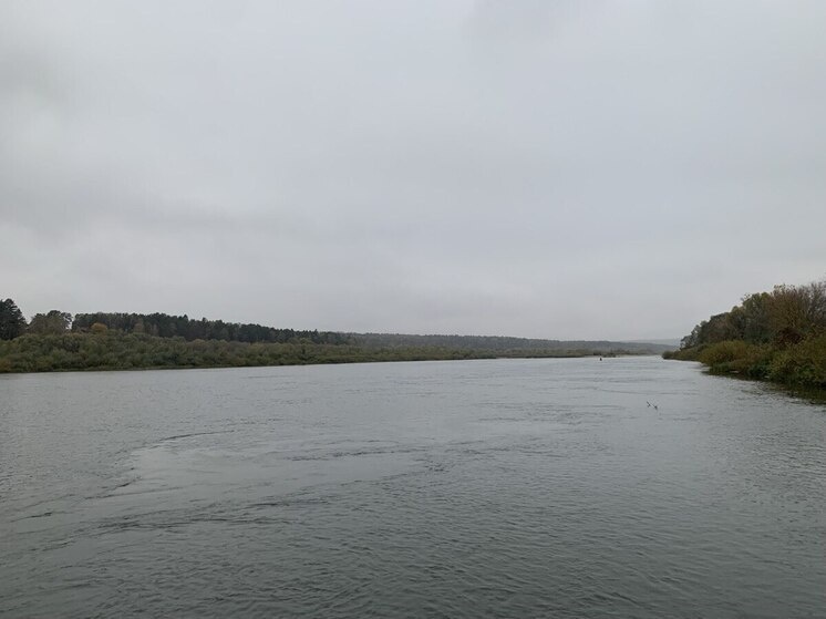     Фото: "МК в Туле"