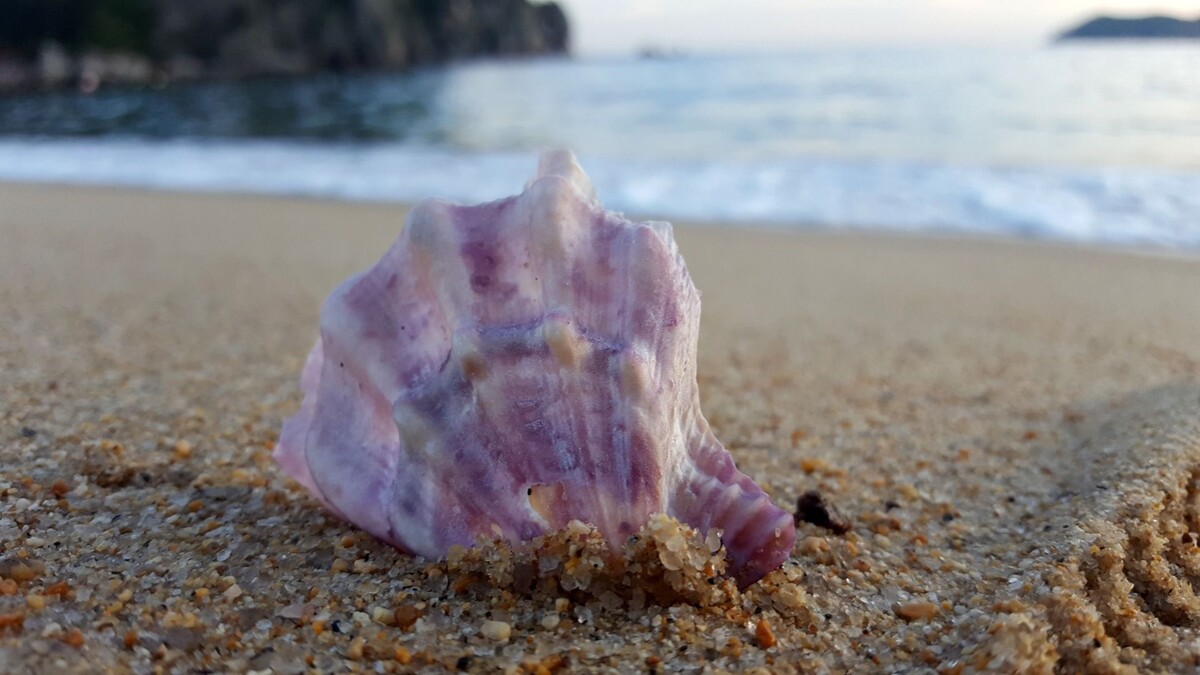     Источник: 1MI