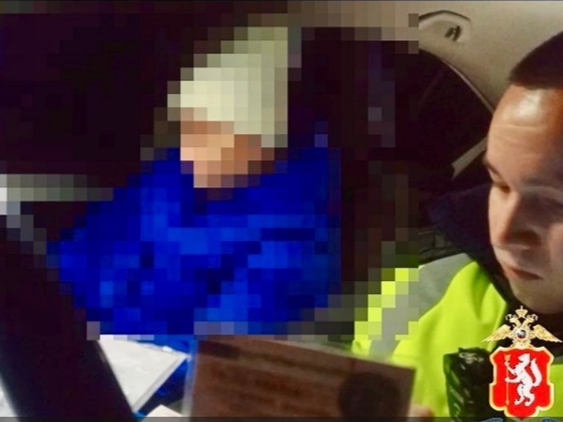     Фото: Госавтоинспекция Каменска-Уральского