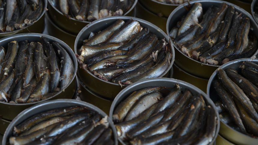    Фото: ИЗВЕСТИЯ/Александр Полегенько; 5-tv.ru