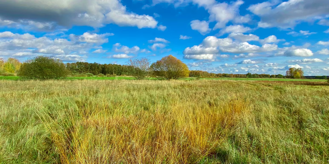 Как символ коммунистической паранойи превратился в дикий рай