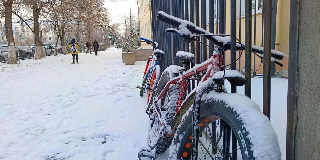 Где в Ростовской области выпадет снег на Новый год? Точный прогноз погоды