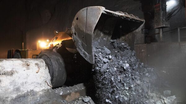    © Sputnik / Илья Питалев