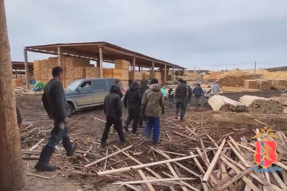    В Красноярском крае осудили организаторов незаконной миграции. Стоп-кадр видео