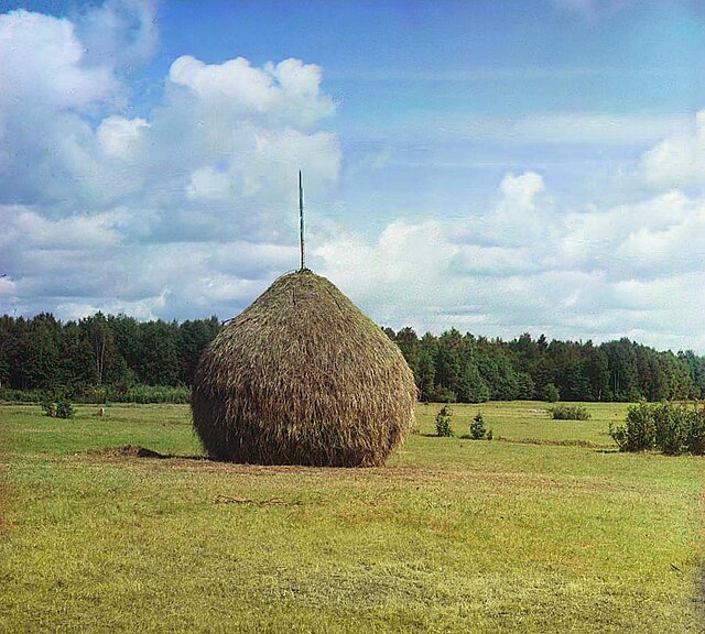 Стог сена, 1909 год, Прокудин-Горский.