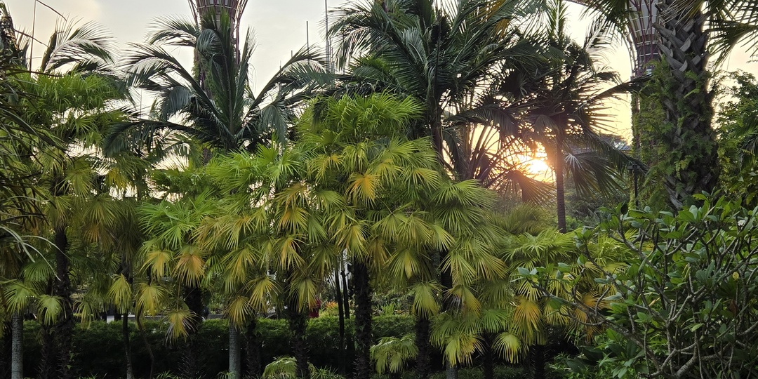 Пользуемся eSIM за границей. Быть на связи  теперь стоит недорого.