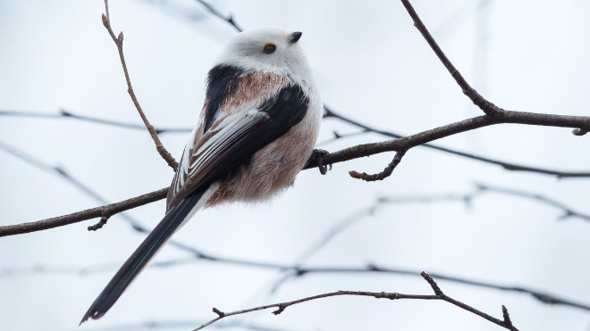 Фото: Станислав Крутоверцев