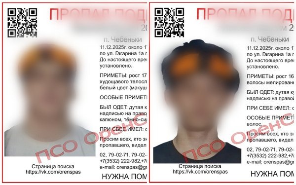    Под Оренбургом разыскивают сбежавших из детдома подростков