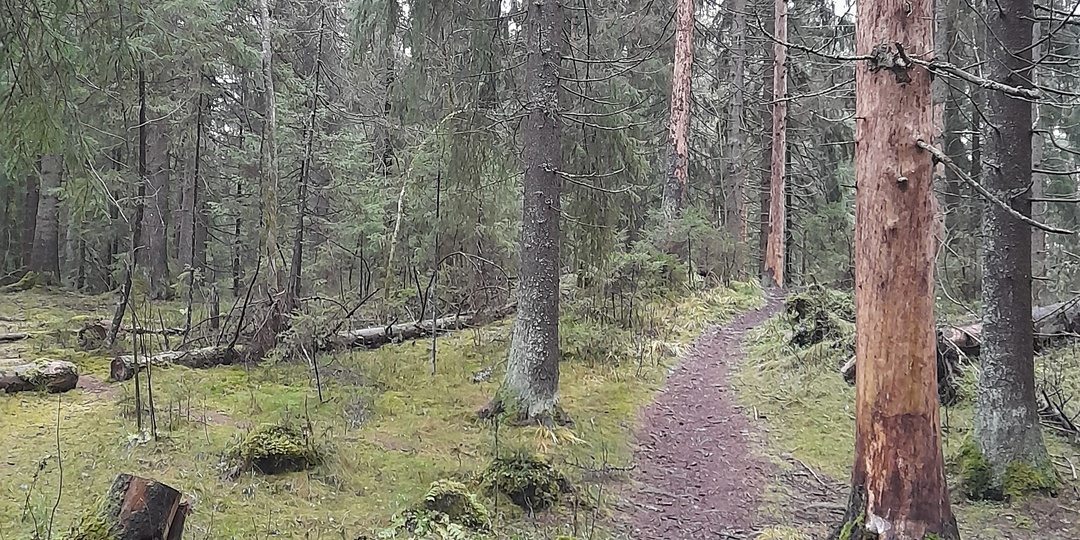 Посёлок Грибное