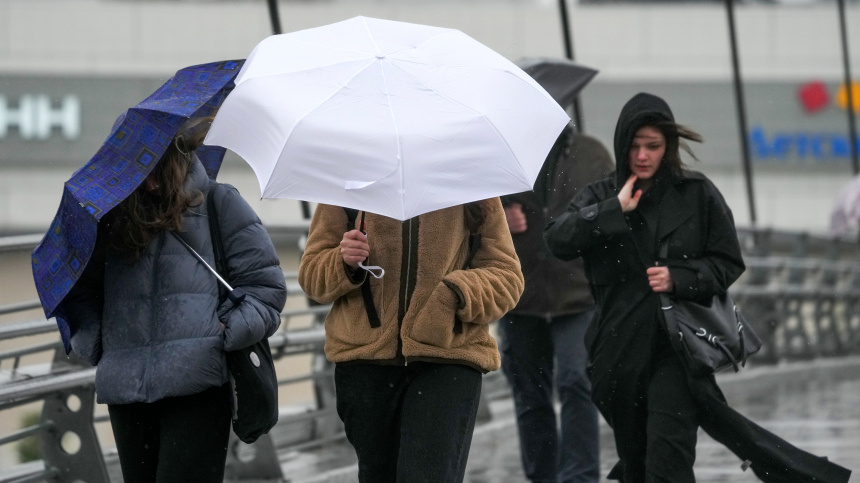    Фото: ИЗВЕСТИЯ/Дмитрий Коротаев