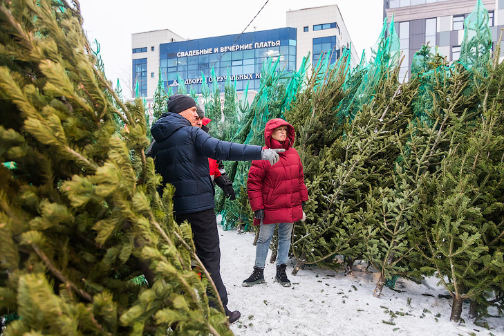   Фото Андрея Заржецкого