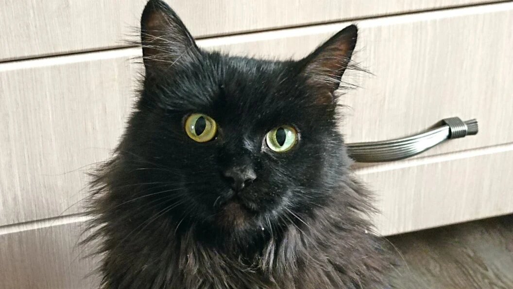    ФОТО: Царьград