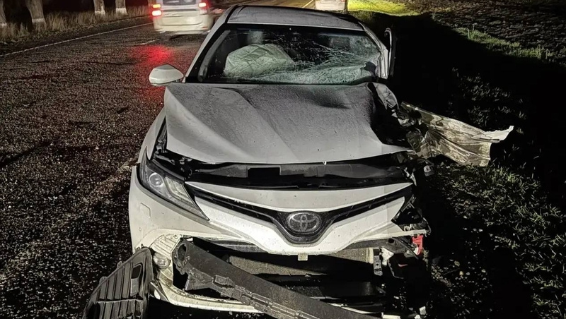      Фото: Госавтоинспекция СК