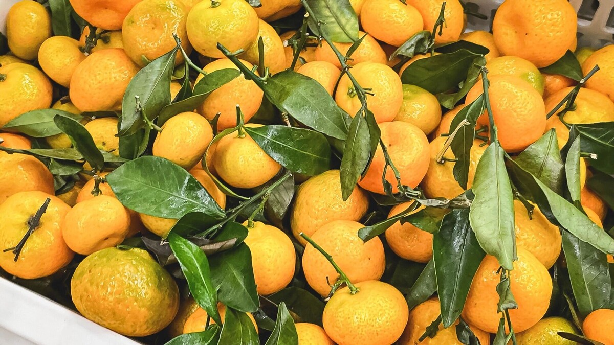     Источник: 1MI