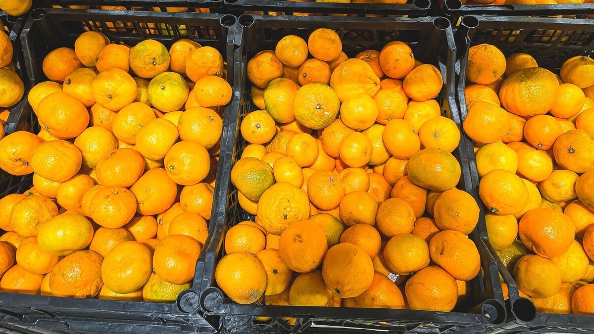     Источник: 1MI