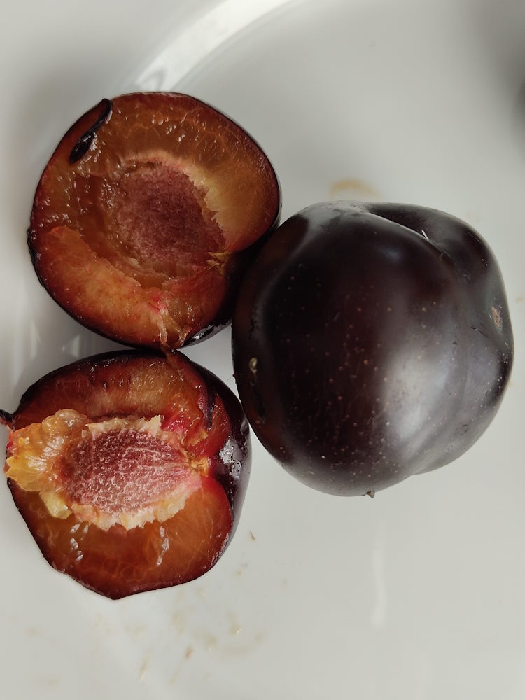 Слива "Караташ" 