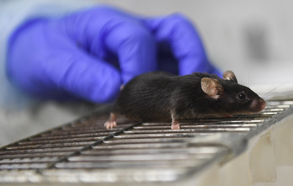 Кирилл Кухмарь/ТАСС