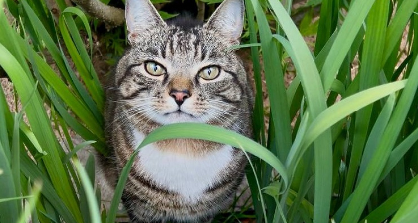    Фото Анастасии Дмитриевой