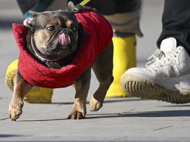   Фото: Москва 24/Антон Великжанин