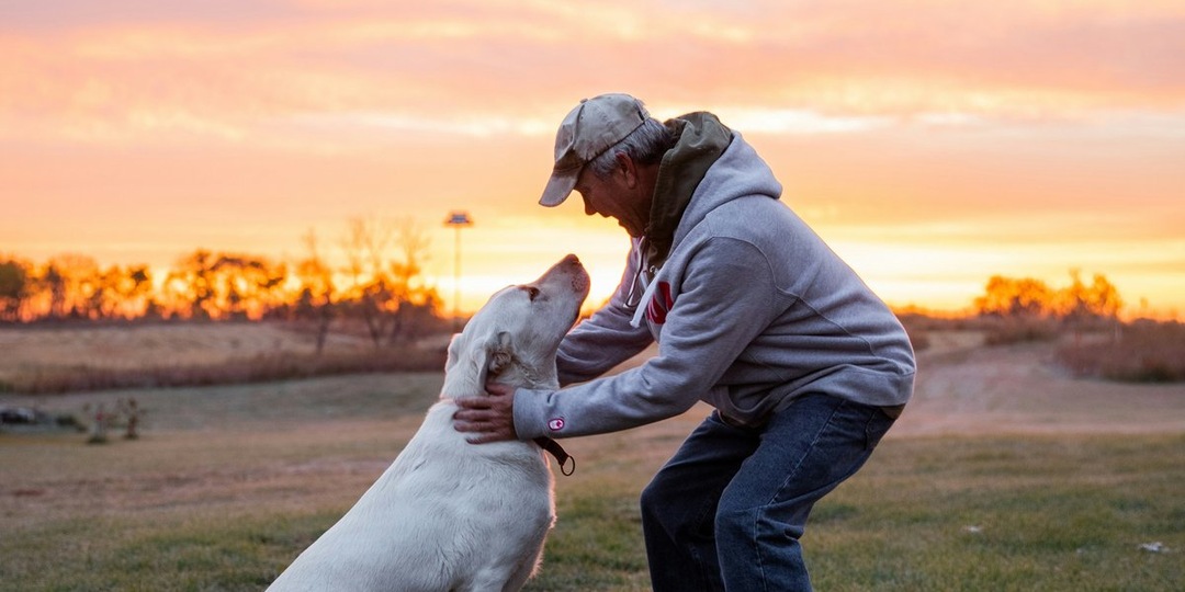 Собака в доме: как лохматый друг меняет вашу жизнь