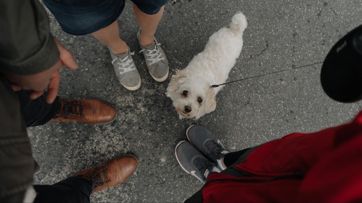    Лучший повод для знакомства и непринужденной беседы