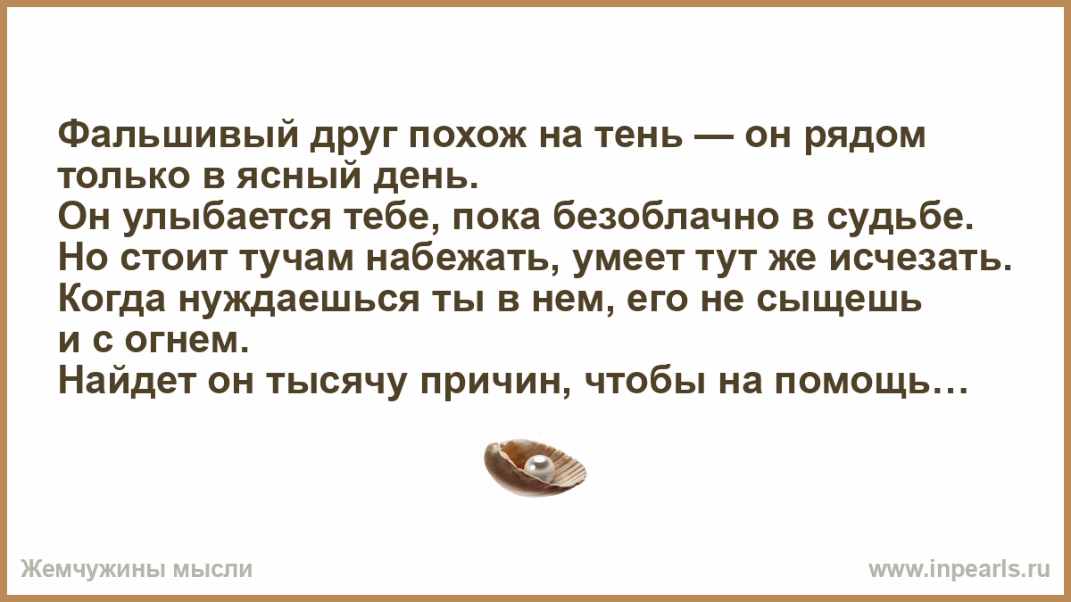 Фальшивый друг