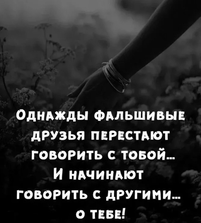 Фальшивые друзья