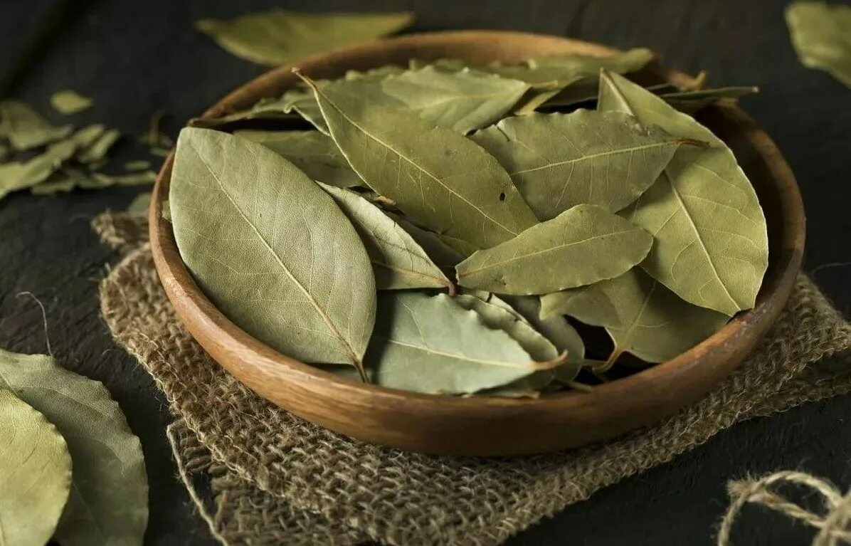 Фото и Сети